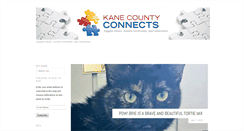 Desktop Screenshot of kanecountyconnects.com